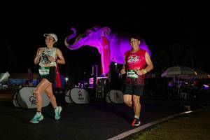 BIB: 
                            <button type="button" onclick="openModal(26543398)" class="btn btn-primary btn-sm float-right btn-popup" data-toggle="modal" data-target=".modal-high-quality">
                        <i class="fas fa-shopping-cart"></i> Add to Cart
                    </button>
                                            <button type="button" onclick="isThisMe(26543398, true)" class="btn btn-success btn-sm float-right btn-popup btn-isme hidden" data-toggle="tooltip" data-placement="bottom" title="นี่คือรูปของคุณใช่ไหม คลิกที่นี่เพื่อเอาเข้าอัลบั้ม">
                        <i class="fas fa-plus"></i> Add to album
                    </button>
                    <button type="button" onclick="isThisMe(26543398, false)" class="btn btn-warning btn-sm float-right btn-popup btn-isnotme hidden">
                        <i class="fas fa-ban"></i> Remove from album
                    </button>